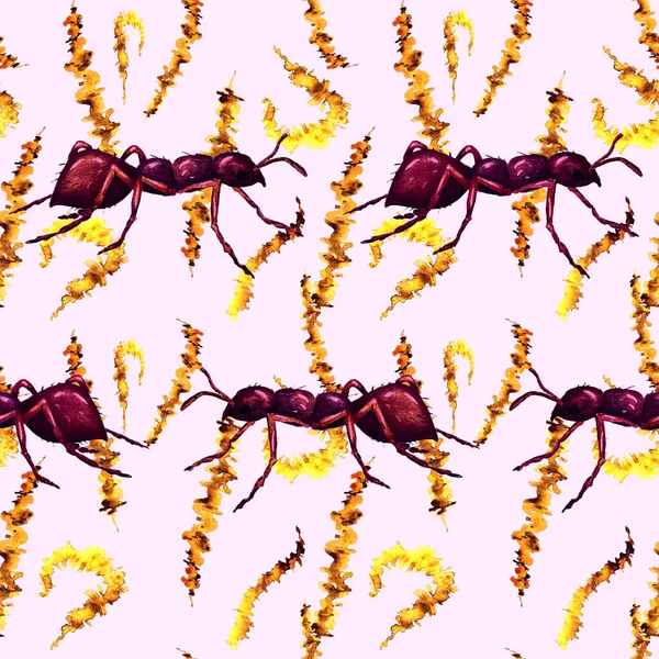 Akvarel Bezešvný Vzor Fungujícími Mravenci Otisk Zvířete Pro Jakýkoliv Design — Stock fotografie