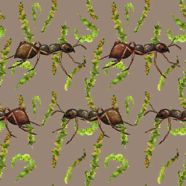 Watercolor Seamless Pattern Working Ants Animal Print Any Kind Design — Stock Photo, Image