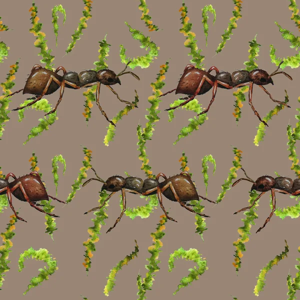 Υδατογραφία Αδιάλειπτη Μοτίβο Μυρμήγκια Εργασίας Ζωικό Αποτύπωμα Για Κάθε Είδους Φωτογραφία Αρχείου