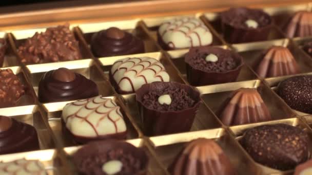 Kutu lezzetli çikolatalı tatlılar. — Stok video