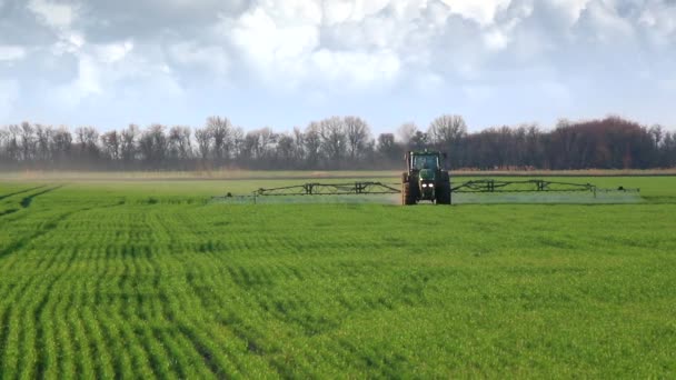 Зеленый трактор опрыскивает пшеничное поле химикатами в облачный весенний день — стоковое видео