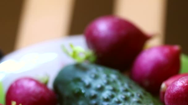 Radish and cucumber in macro shot. — Stock Video