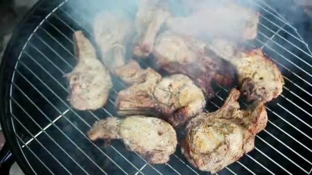 Carne a la parrilla frita en barbacoa . — Vídeo de stock