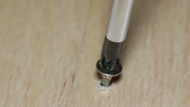Screwing a screw in wood. — Stock Video