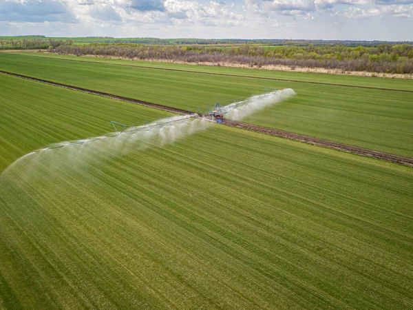 Ein landwirtschaftlicher Traktor versprüht das Getreidefeld mit Chemikalien. Drohnenbild aus der Luft. Stockbild