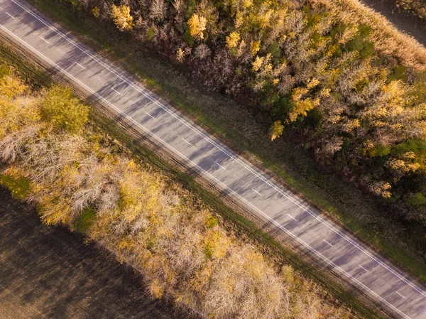 Aerial view of twisting road among the forest and trees. Russia.