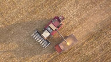 Tarım sektöründe çalışan hasat makinesinin ve kamyonun hava görüntüsü. Tahıl tarlası, yaz mevsimi. Üst görünüm dron fotoğrafı.