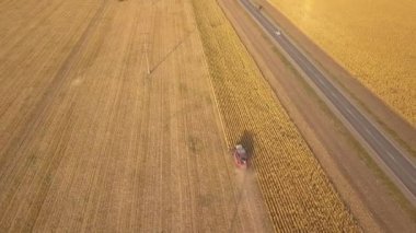 Tarım sektöründe çalışan bir biçerdöveri hava görüntüsü. Tahıl tarlası, yaz mevsimi. Drone fotoğrafı. - Rusya. Krasnodar bölgesi.