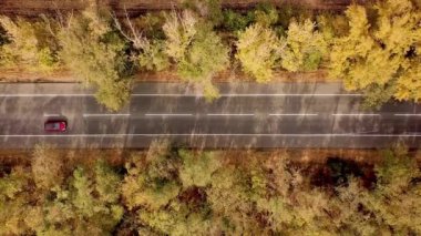Yeşil ormanın içinden geçen yol, ormanın içinden geçen hava manzaralı araba, gökyüzü manzaralı orman ormanı, yukarıdan görünen orman dokusu, ekosistem ve sağlıklı çevre kavramı ve arka plan.