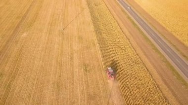 Buğdayı birleştir. Tarımın havadan manzarası. Buğdayla buğday topluyorum. Gün batımında sahada birleşin. Buğday tarlasında hasat. Tarım ve sağlıklı gıda kavramı. Günbatımı hava manzarası.