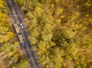 Yeşil orman insansız hava aracı görüntüsü. Ormandaki kamyonlu yol. Ulaşım geçmişi. Rostov bölgesi. Rusya.