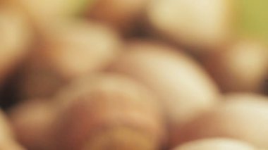 Kavrulmuş fındık. Makro.