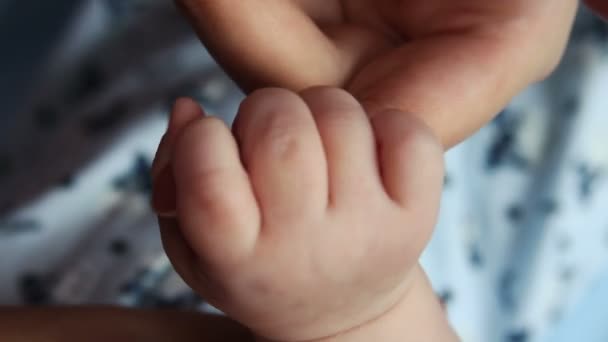 Mother holding child's hand. Hand in hand. — Stock Video