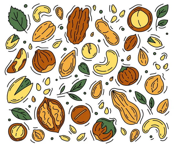 Sada ikon ořechů a semen ve stylu Doodle. — Stockový vektor