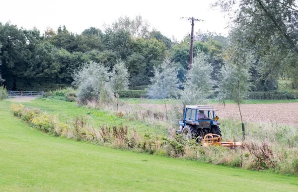 Blauer Traktor auf einem Feld lizenzfreie Stockfotos