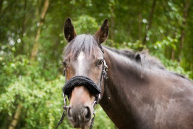 Kamera için poz güzel at
