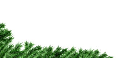 Evergreen Pine Şubesinden yapılmış gerçekçi bir Noel ağacı köşe süsleme için yeşil iğneler