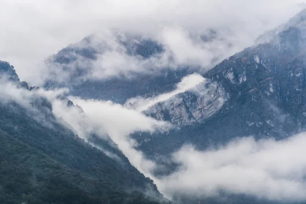 Foggy layered mountain landscape. Foggy mountains and forest. Morning valley with forest and fog view. Mystic pine forest in the mountains