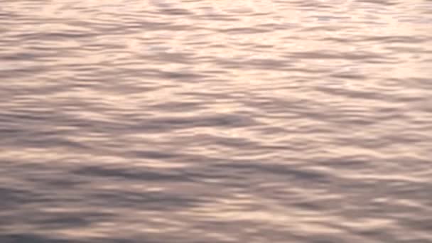 Naturalna powierzchnia wody tekstury wykonane w godzinach wieczornych lub porannych z odbiciem słońca na falach. Uspokajające abstrakcyjne tło oceanu, morza, jeziora z falami. — Wideo stockowe