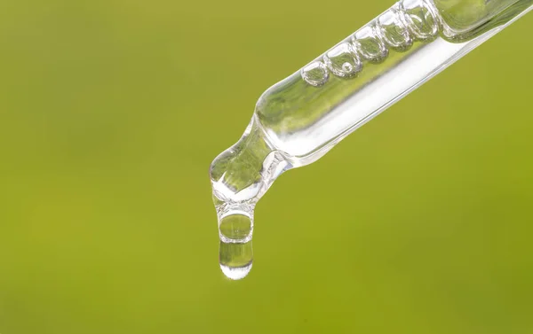 Gerekli yağ, serum ve çimen arka planında hiyalüronik asit olan bir boru. Aromaterapi, yeşil yapraklı alternatif tıp. Yeşil Pippette 'e yakın çekim, düşüş. Güzellik cilt bakım ürünü