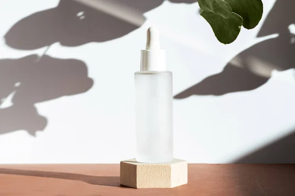 Kozmetik arka plan modeli. Ahşap geometrik kürsüde cam şişede peptid bulunan serum, doğal bitki gölgeleri. Kozmetik ürün modeli. Deri bakımı konsepti. Güzellik günlüğü