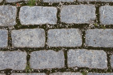 Dikdörtgen, gri ve kabayonu taş kaplama Close-up