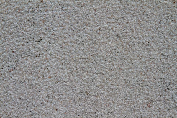 Närbild av fostra av pärlan-färgade gips — Stockfoto