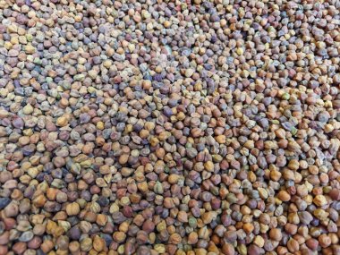 Kurumuş siyah ve altın nohut soyut bir arka plan olarak