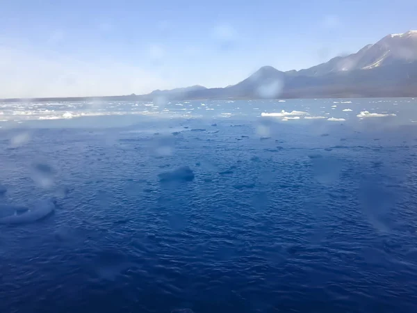 2014 Yakutat Alaska Usa Snow Covered Mountains Melted Floating Ice — 스톡 사진