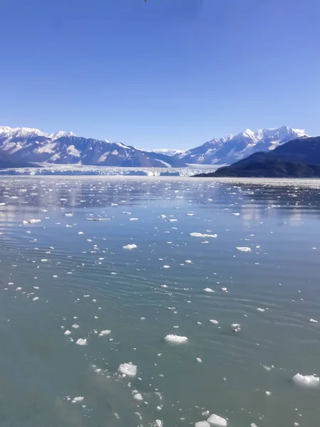 2014 Yakutat Alaska Usa Snow Covered Mountains Melted Floating Ice — 스톡 사진