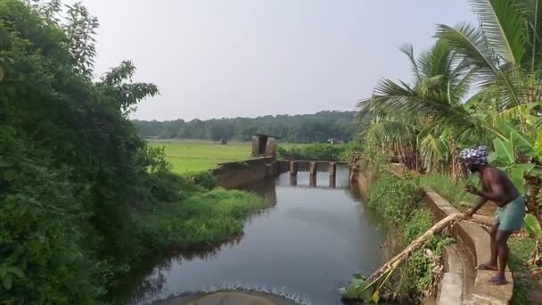 Kerala India April 2021Fisherman Pushed Net River See Kerala India — 비디오