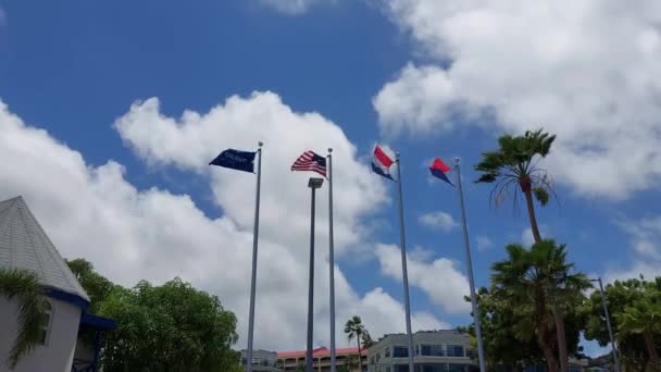 Nederländerna Usa Och Maarten Flagga Vinkar Vind Och Blå Himmel — Stockvideo