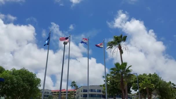 オランダアメリカとセントマーテンの風と青空に手を振って旗 — ストック動画