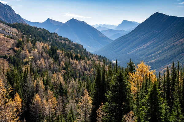秋天的加拿大落基山脉 晨雾弥漫 — 图库照片
