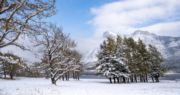 在加拿大落基山脉的冬季降雪后 沃特顿湖国家公园的冬季场景 — 图库照片