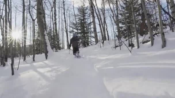 Діти Вулиці Снігопаду Глибокому Снігу Біля Банф Альберта Канада — стокове відео
