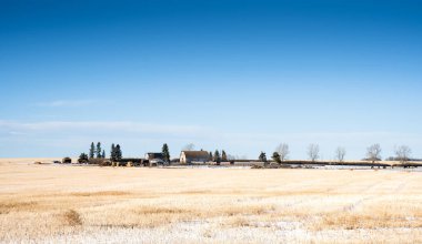 Rocky View County Alberta Kanada 'da karla kaplı bir tarlada bir çayır çiftliği..