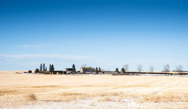 Farma Prerii Pokrytym Śniegiem Polu Zbiorów Rocky View County Alberta — Zdjęcie stockowe