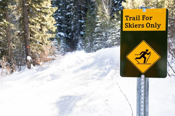 Вывеска Вывешена Ухоженном Перекрестке Лыжников Провинциальном Парке Брэгг Крик Альберта — стоковое фото