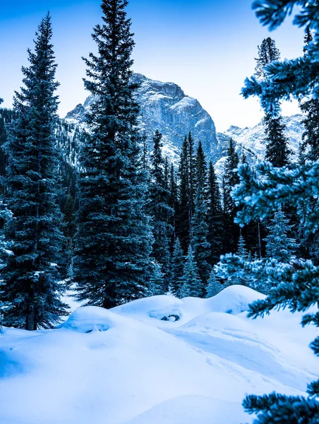 The snow covered Mount Black Prince hiking trail of Kananaskis Country near Banff National Park in the Canadian Rocky Mountains