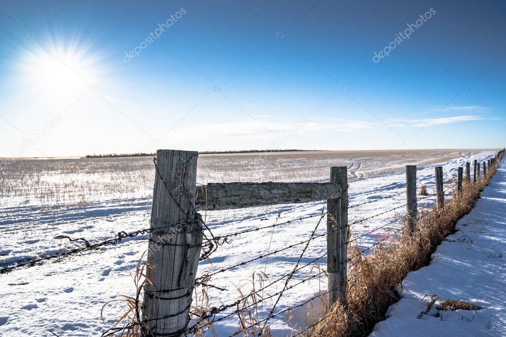 A barbed wire fence with fence posts on the Canadian prairies in Rocky View County Alberta Canada.