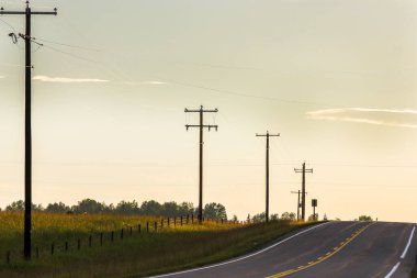 Rocky View County Alberta Kanada 'da gün batımında kırsal bir yolda elektrik hatları var.