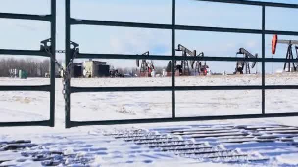 加拿大艾伯塔省洛基视图县 2021年2月27日 作为石油和天然气工业的一部分 加拿大草原上的泵桩在工作 — 图库视频影像