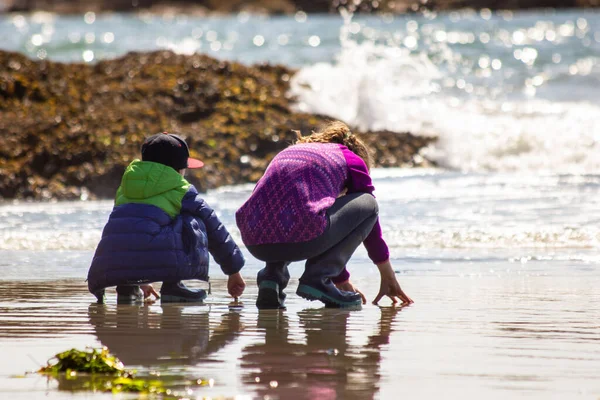 Kinderstrand Bei Ebbe Pacific Rim National Park Der Nähe Von — Stockfoto