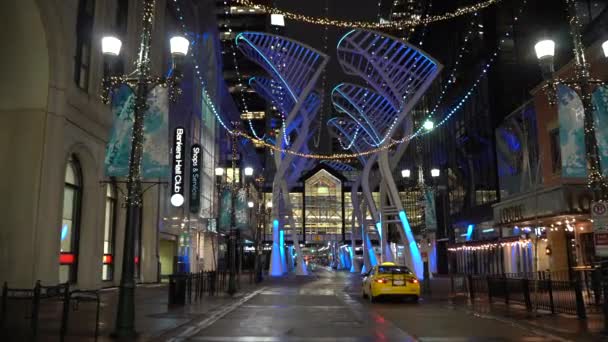 加拿大卡尔加里 艾伯塔省 2021年3月8日 加拿大城市的另一个公共艺术展览是位于史蒂芬大街的画廊树雕塑 — 图库视频影像