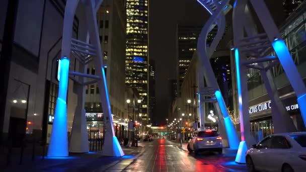 Calgary Alberta Canada March 2021 Galleria Trees Sculptures Night Stephen — Stock Video