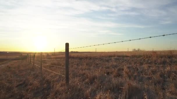 Traceren Stijgen Een Prikkeldraad Hek Canadese Prairies Bij Zonsopgang Rocky — Stockvideo