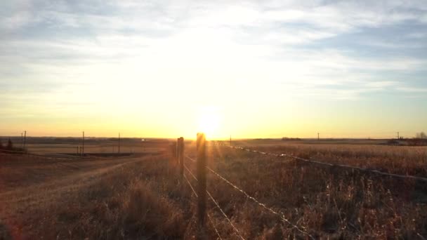 朝早くロッキービュー郡のカナダの草原の有刺鉄線フェンスに沿って日の出に歩くアルバータ州カナダ — ストック動画