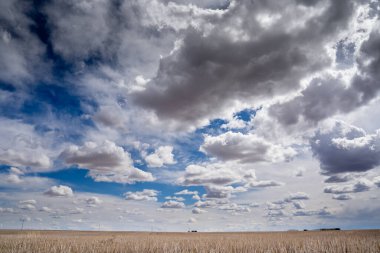 Canadian prairies harvested field under a cloudy dramatic sky in Rocky View County Alberta Canada.