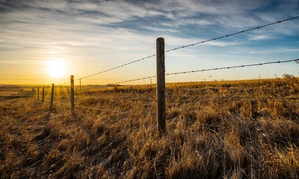 Sunrise Wooden Barbed Wire Fence Natural Prairie Grasslands Alberta Canada — Zdjęcie stockowe